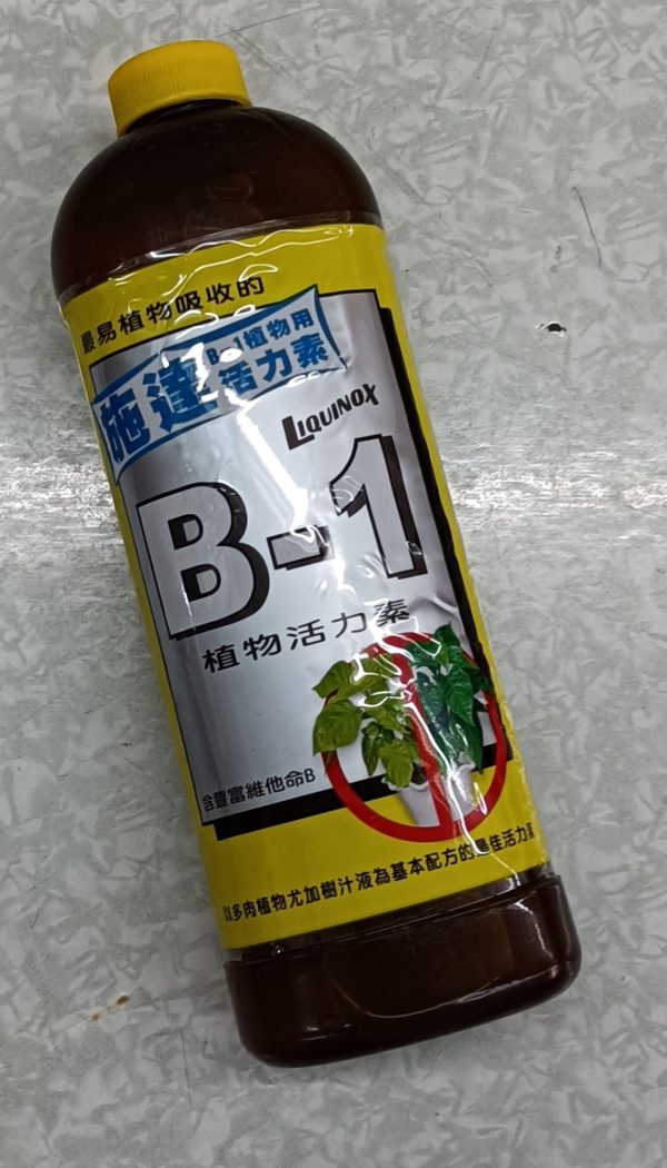 B1肥