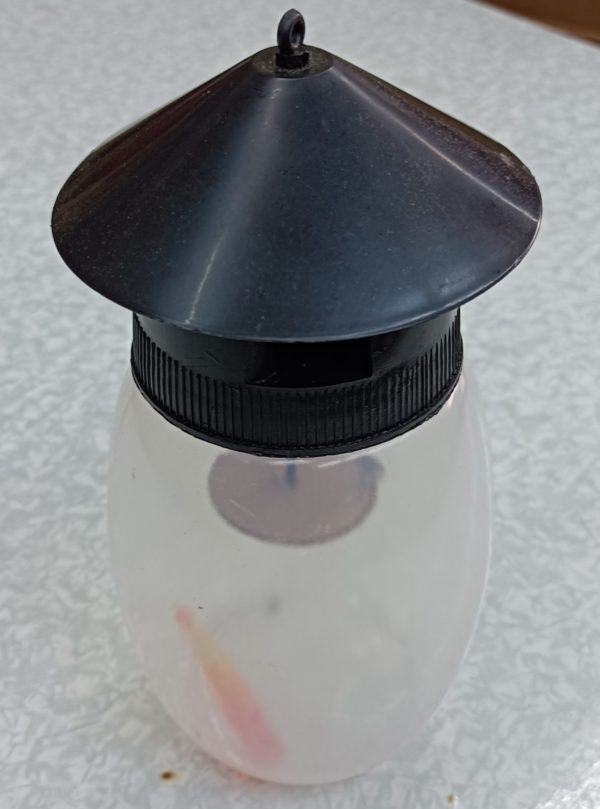 誘蚊器